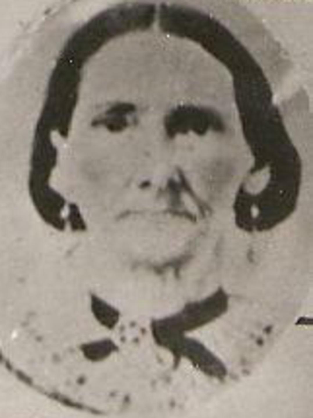 Mary Malinda Curtis (1839 - 1889) Profile